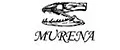 murena