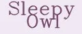 Sleepy Owl
