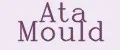 ATA Mould