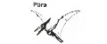 Ptira