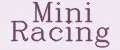 Mini Racing