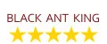 Black Ant King