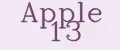 Apple 13