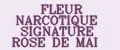 FLEUR NARCOTIQUE SIGNATURE ROSE DE MAI