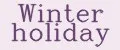 Winter holiday