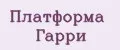 Платформа Гарри