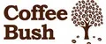 Coffee Bush