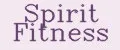 Spirit Fitness