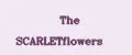 The SCARLETflowers