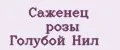 Саженец розы Голубой Нил
