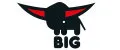 BIG toys