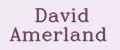 David Amerland