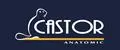 CASTOR