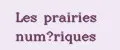 Les prairies numeriques