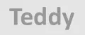 Teddy