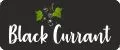 Black Currant