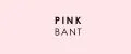 PINKBANT