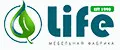 Лайф
