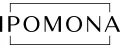 Аналитика бренда IPOMONA на Wildberries
