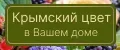 КРЫМСКИЙ ЦВЕТ