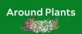 around plants