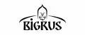 BIGRUS