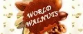 world-walnuts