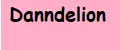 Danndelion
