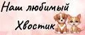 Наш любимый Хвостик