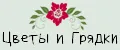 Цветы и Грядки