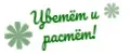 Цветёт и растёт!