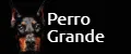 Perro Grande