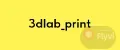 3dlab_print