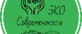 Эко Современность