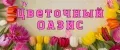 Цветочный оазис