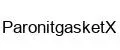 ParonitgasketX