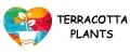 Terracotta Plants