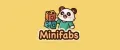 Minifabs
