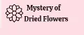 Mystery of Dried Flowers