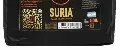 Suria
