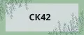 СК42