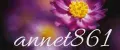 annet861