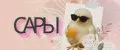 САРЫ