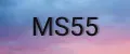 MS55