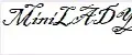 MiniLADY