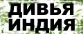 Дивья Индия