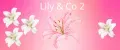 Lily & Co.2
