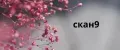 скан9