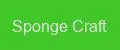 Sponge Craft