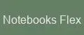 Notebooks Flex